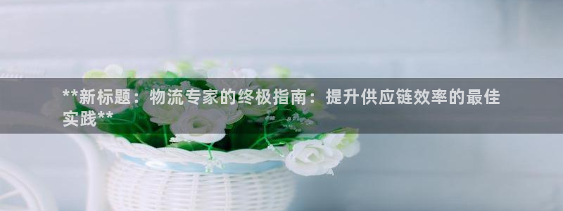 28圈注册网页：**新标题：物流专家