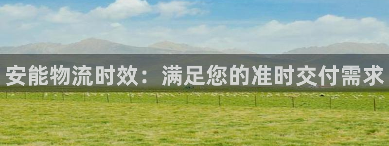 28圈加拿大是什么：安能物流时效：满