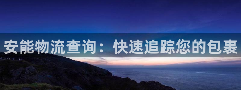 28圈注册平台：安能物流查询：快速追