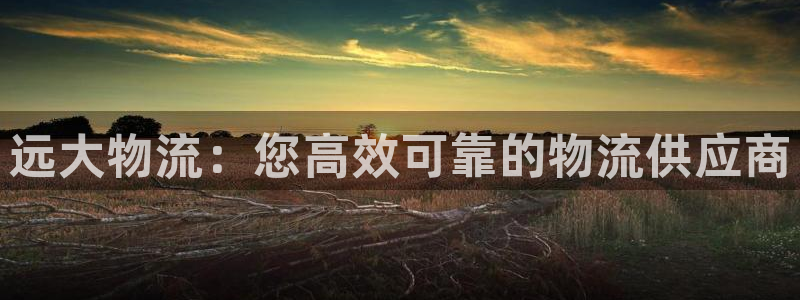 28圈龙虎：远大物流：您高效可靠的物