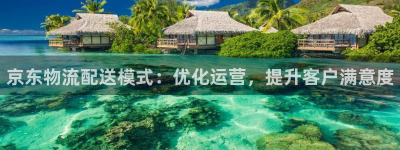 28圈注册网址：京东物流配送模式：优