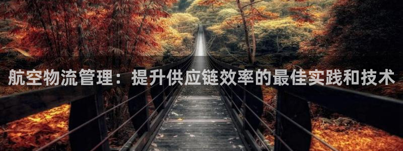 28圈链接