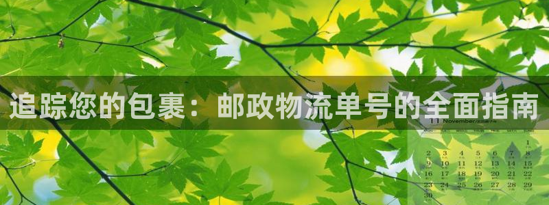 28圈网站怎么注册：追踪您的包裹：邮