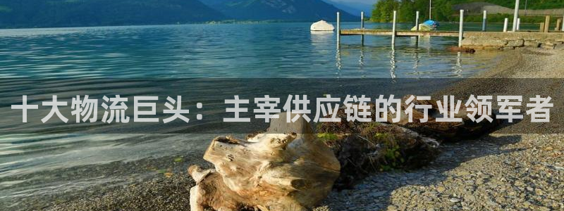 28圈圈助手