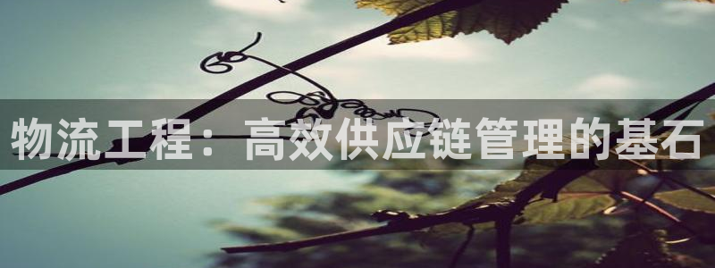 28圈麻将胡了在线试玩