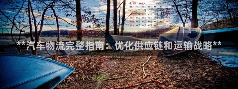 28圈合法吗：**汽车物流完整指南：