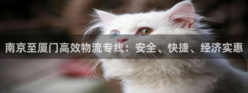 28圈加拿大app预测