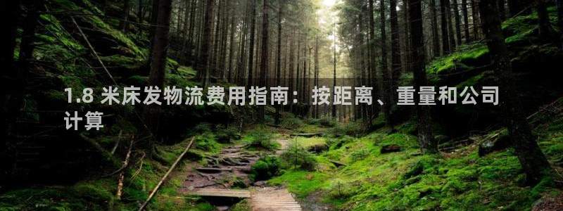 28圈预测