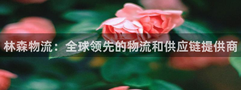 28圈口戒指是多大