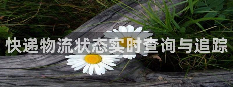28圈网赌有什么风险