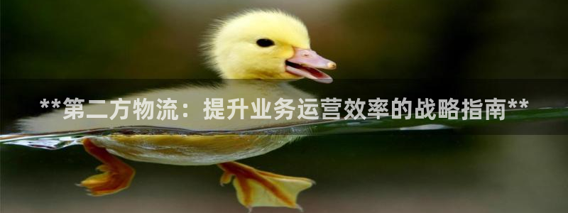 28圈注册平台：**第二方物流：提升