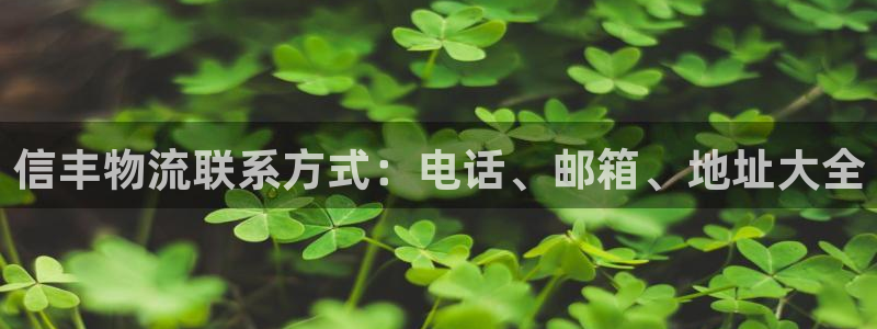 28圈怎么申请代理：信丰物流联系方式