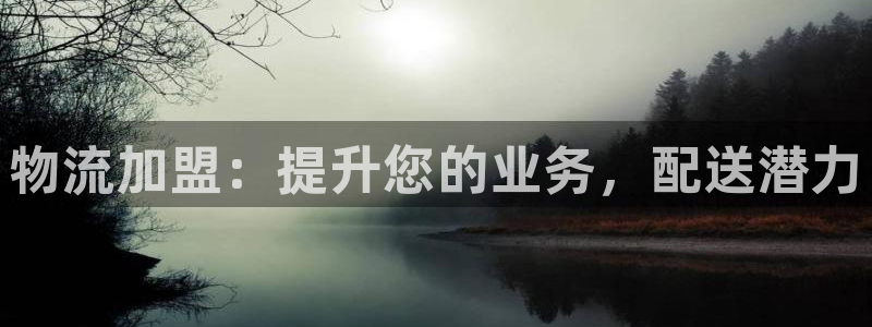 28圈比特28真实吗：物流加盟：提升