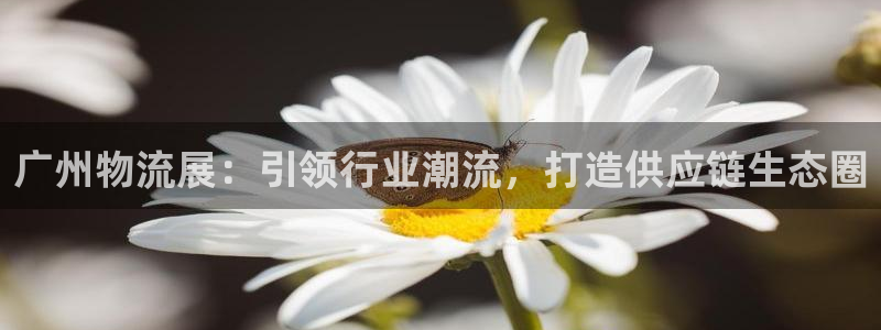 28圈和南宫28什么关系：广州物流展