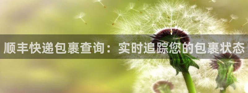 28圈APP是干什么的：顺丰快递包裹