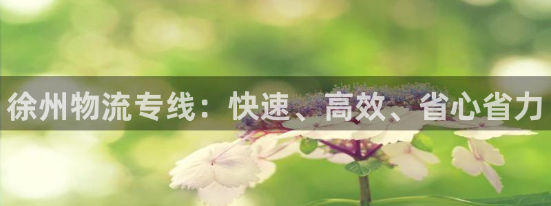 28圈.ccmpcios：徐州物流专