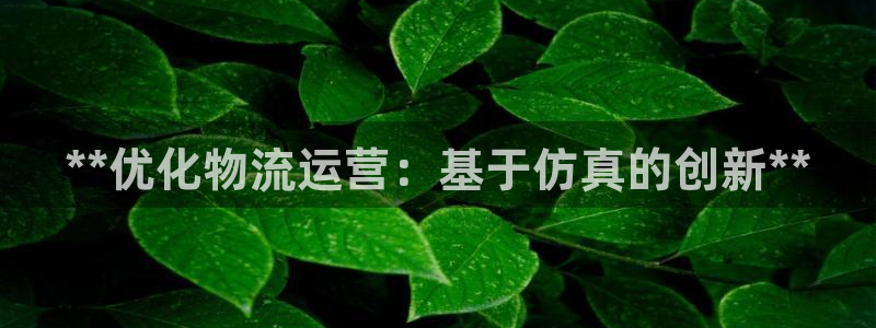 28圈玩法：**优化物流运营：基于仿