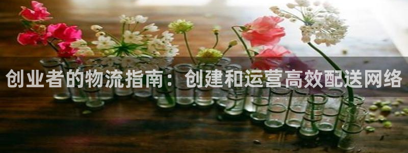 28圈注册教程：创业者的物流指南：创