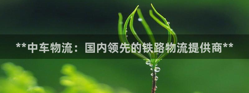 28圈网站平台
