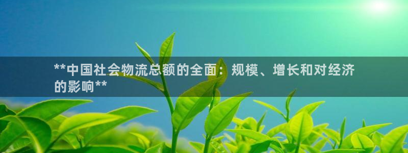 28圈黑款