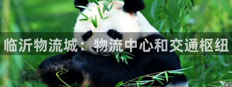 28圈官网版下载