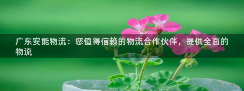 28圈哪个最赚钱：广东安能物流：您值