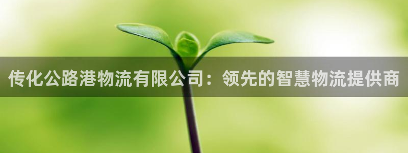 28圈注册网页版：传化公路港物流有限