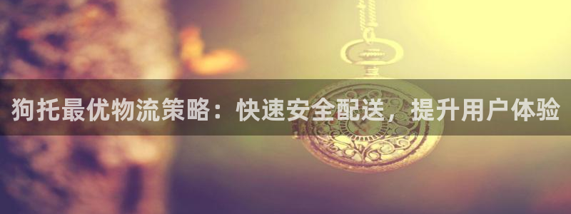 28圈注册网站链接：狗托最优物流策略