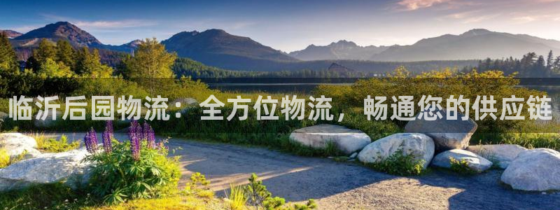 28圈登录不上咋回事：临沂后园物流：
