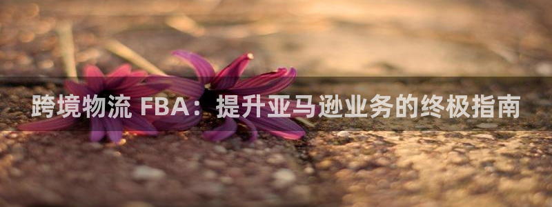 28圈注册流程：跨境物流 FBA：提