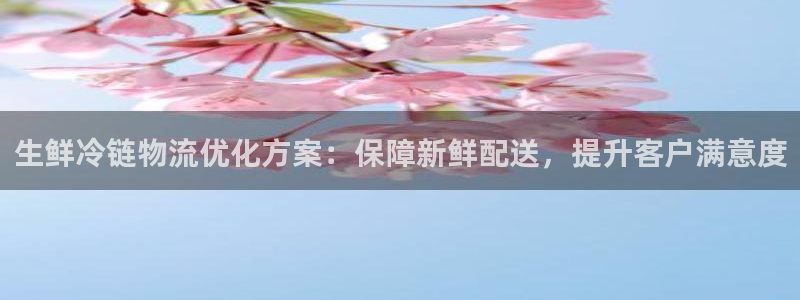 28圈.ccmo：生鲜冷链物流优化方