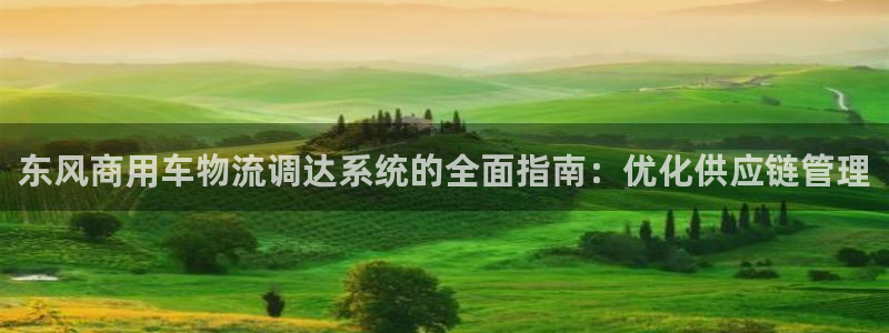 28圈官网网站