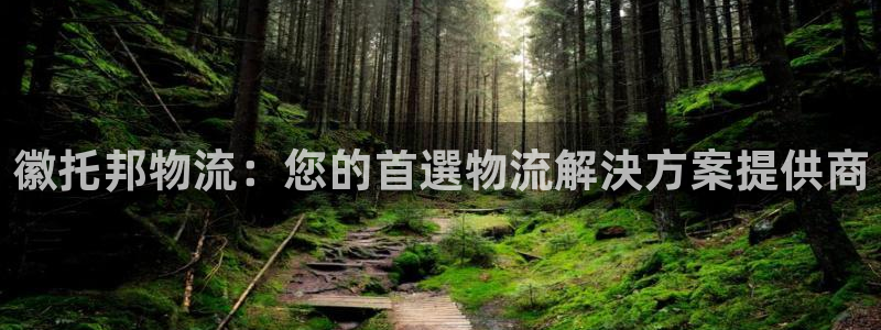 28圈注册登录链接：徽托邦物流：您的