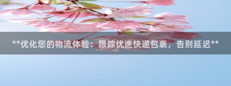 28圈注册账号：**优化您的物流体验