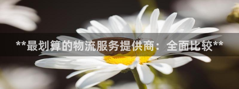 28圈加拿大能提现吗：**最划算的物