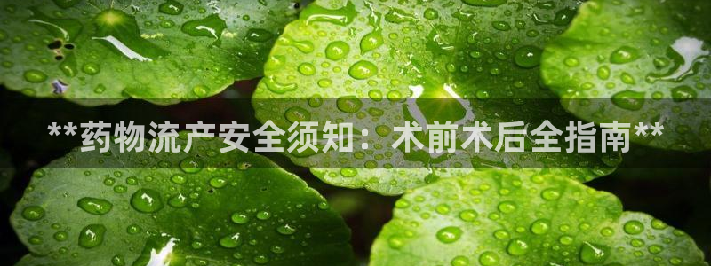 28圈游戏官网平台