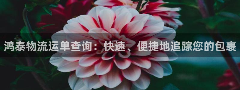 28圈.ccm2024
