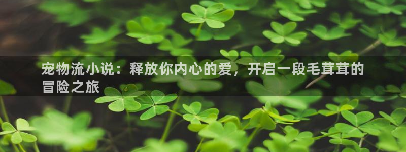 28圈充值