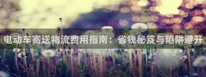 28圈哪个最赚钱