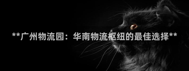 28圈辅助
