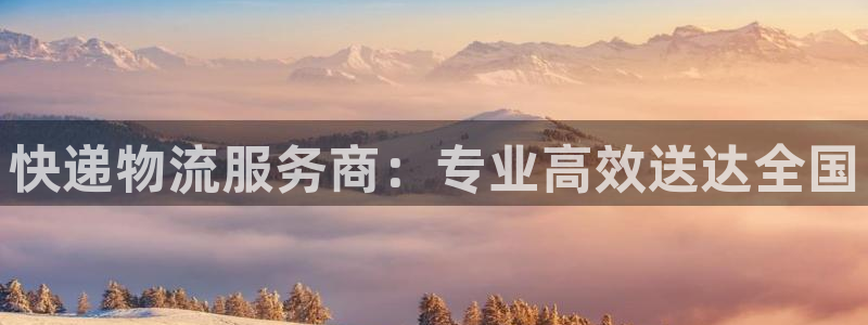 28圈官网平台：快递物流服务商：专业