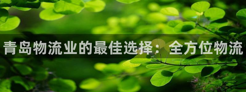 28圈.ccmpc28