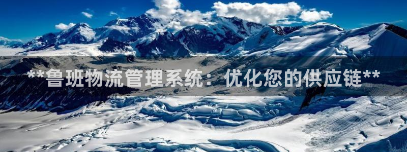 28圈为什么打不开：**鲁班物流管理