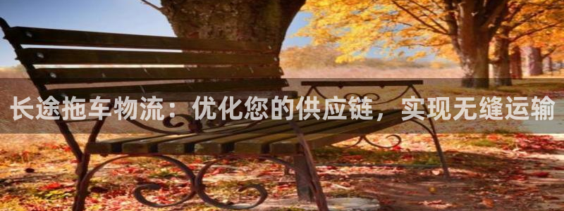 南宫28圈怎么注册：长途拖车物流：优