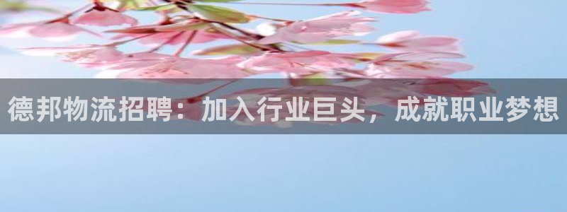 28圈软件总是闪退怎么回事