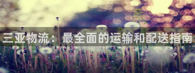 28圈怎么下载：三亚物流：最全面的运