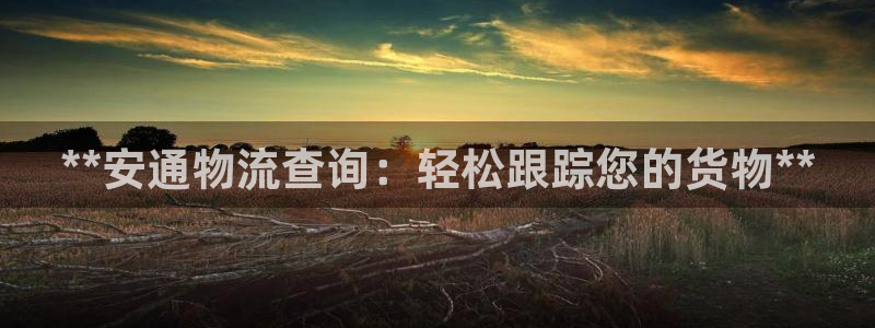 28圈昵称：**安通物流查询：轻松跟