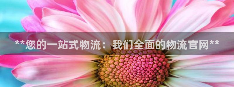 28圈平台注册：**您的一站式物流：