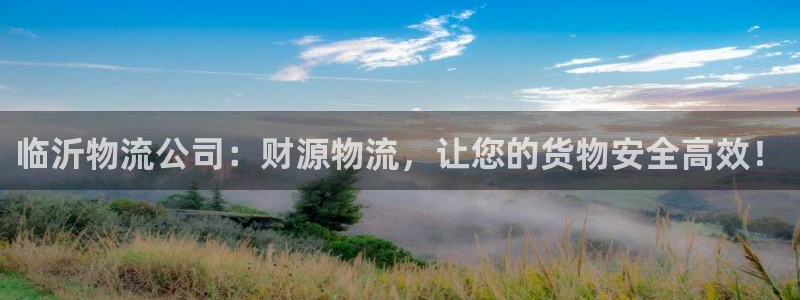 28圈注册网站谁有：临沂物流公司：财