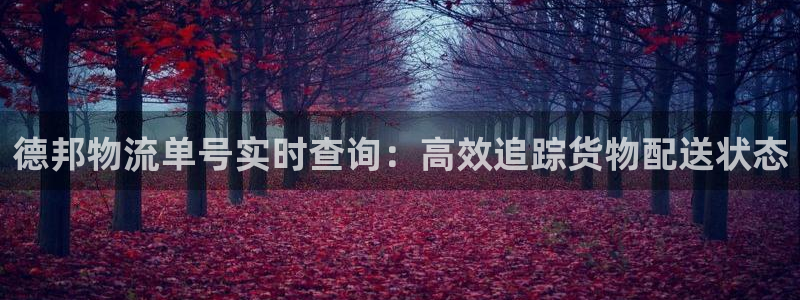 28圈入口问一问
